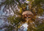 Miniplanete - The Alien Miniplanete - The Alien
